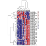 microRNA PCR芯片檢測服務